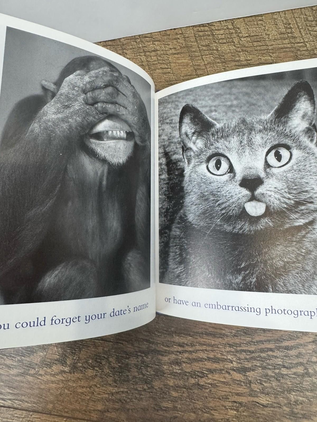 Other The Blue Day Book : A Lesson in Cheering Yourself Up Size ONE SIZE - 6 Thumbnail