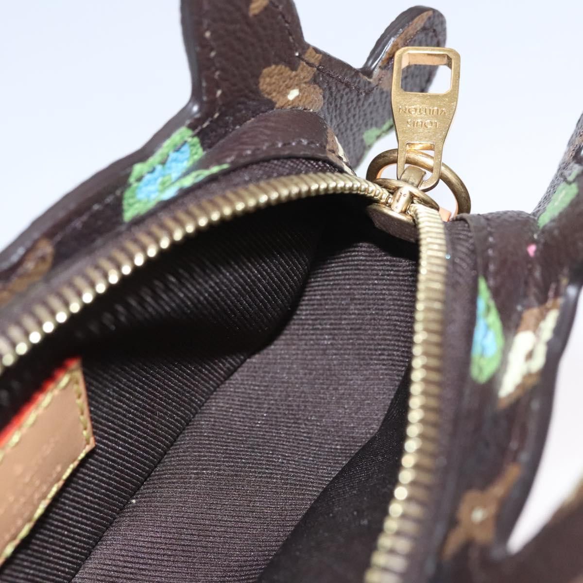 Louis Vuitton LOUIS VUITTON Monogram Craggy Dog On Strap Shoulder Bag Size ONE SIZE - 16 Thumbnail