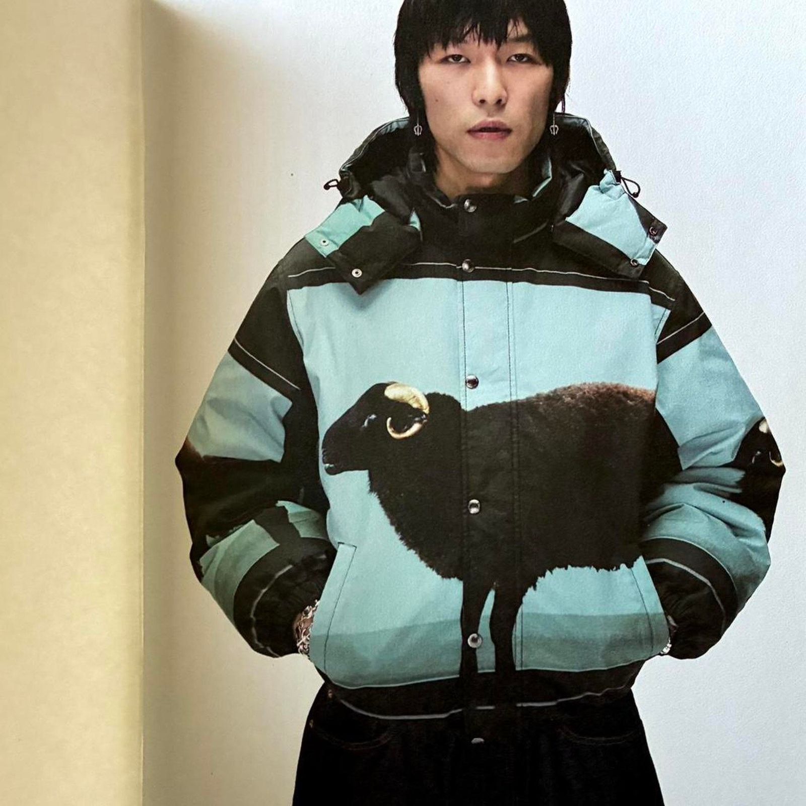 Supreme Supreme spring summer 2025 catalog lookbook Size ONE SIZE - 2 Thumbnail