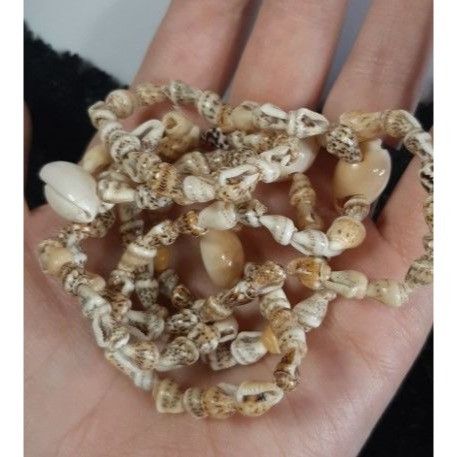 Handmade Natural Beachy Shell Necklace Size ONE SIZE - 3 Thumbnail