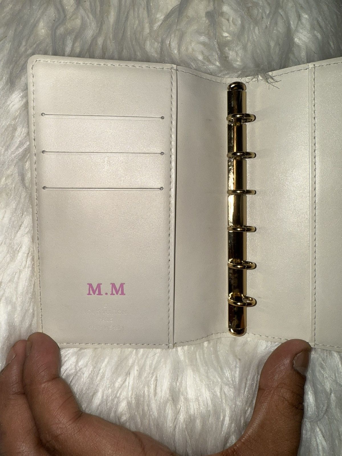 Louis Vuitton Louis Vuitton Passport Agenda Cover Size ONE SIZE - 15 Thumbnail