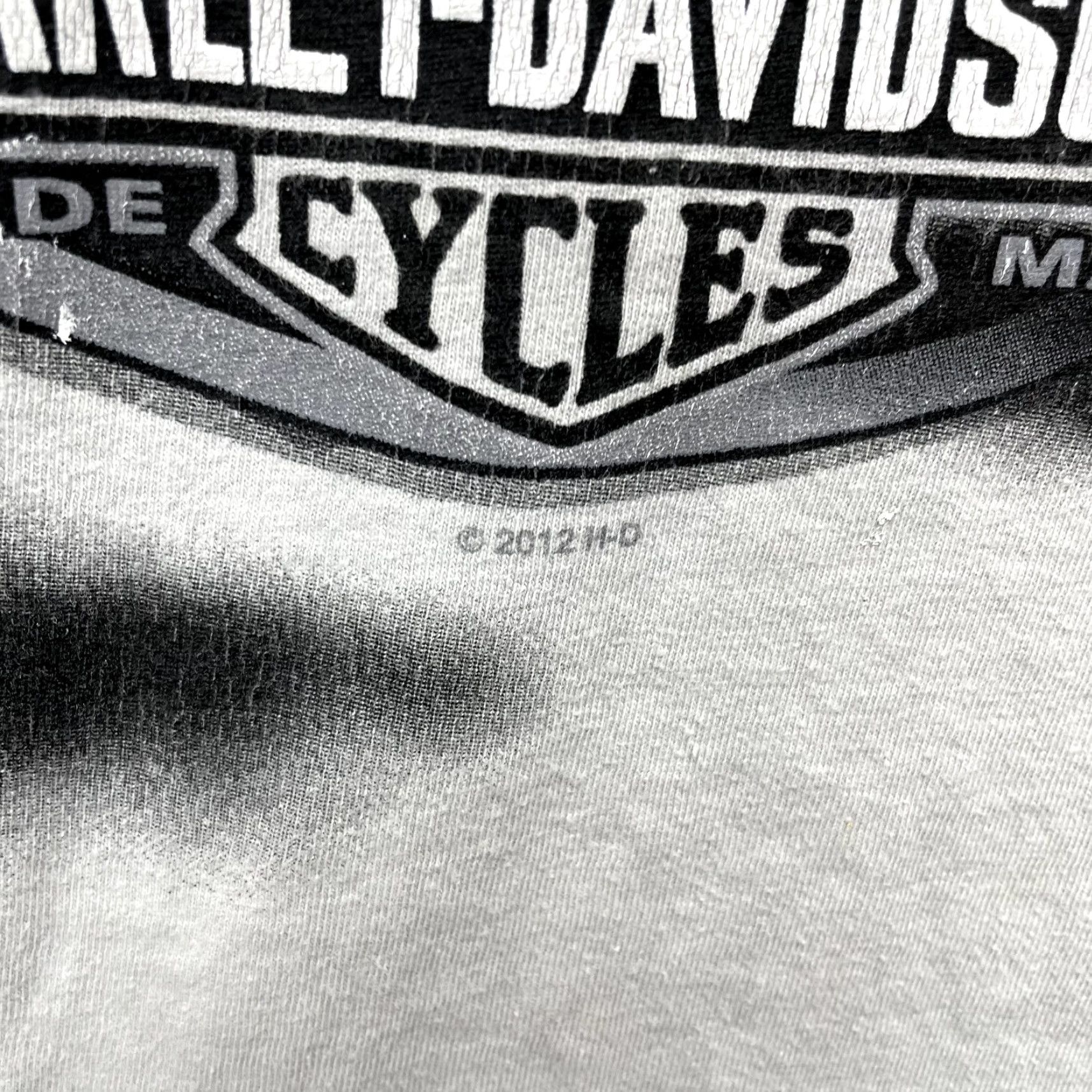 Harley Davidson VINTAGE Harley Davidson T-Shirt Large Graphic Moto Biker Pinup Girl Murfreesboro L Gray Short Sleeve Mens Size US L / EU 52-54 / 3 - 4 Thumbnail