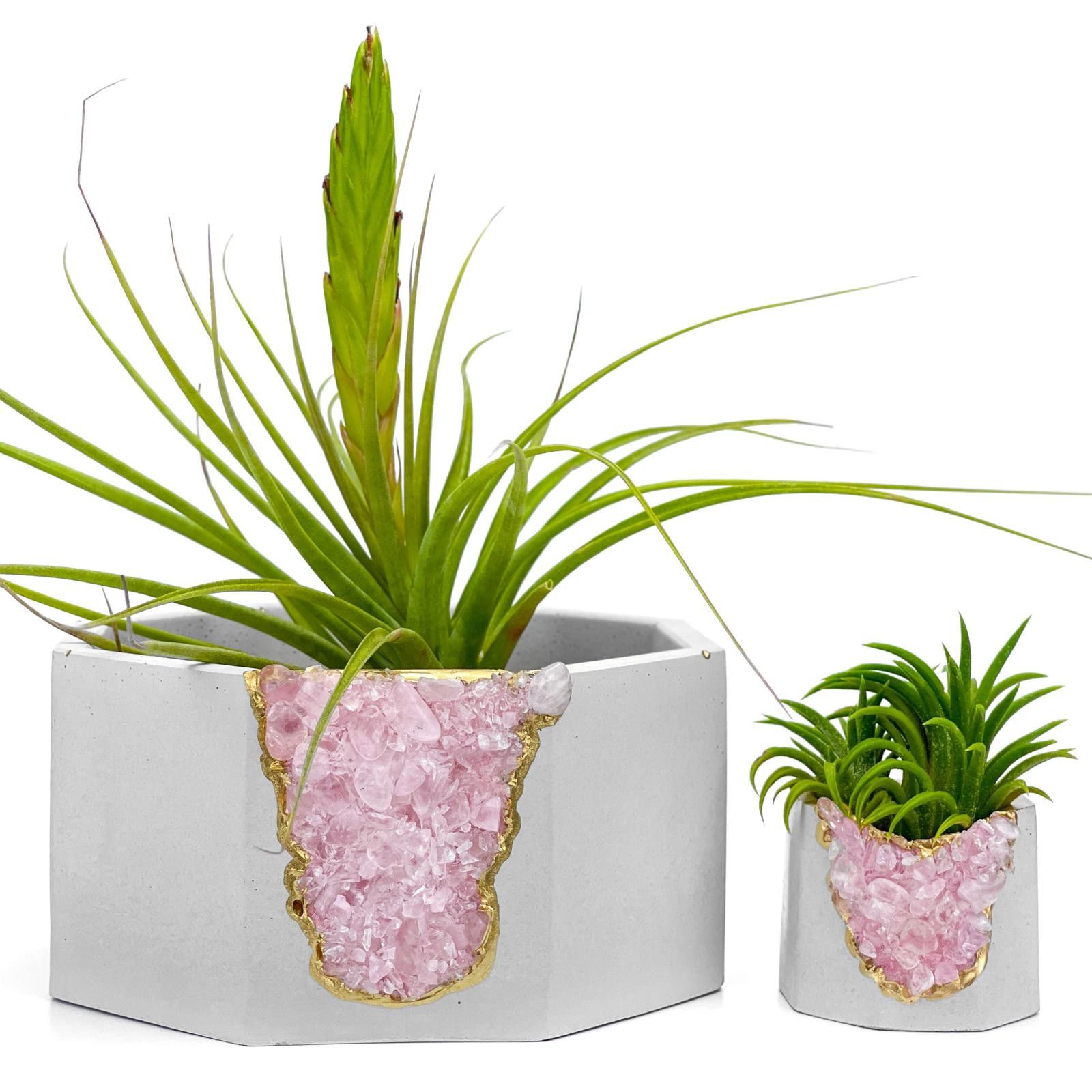 Other Succulent Crystal Planter | Raw Rose Quartz Air Plant Holder Size ONE SIZE - 3 Thumbnail