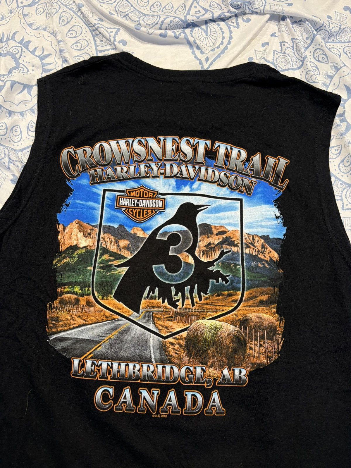 Harley Davidson Harley Davidson Tank Top Medium Size US M / EU 48-50 / 2 - 3 Thumbnail
