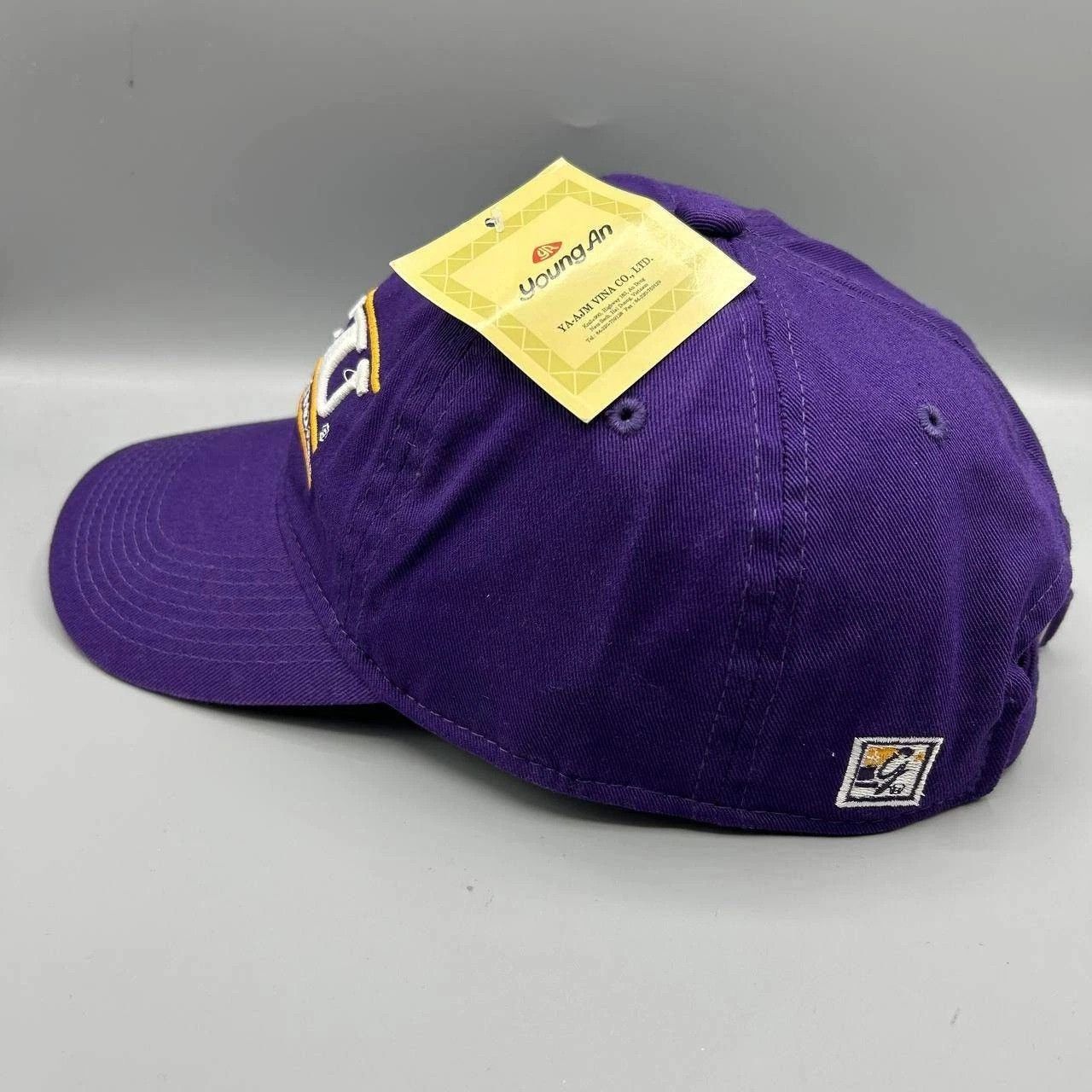 The Game Vintage East Carolina Pirates Hat Men NCAA Strap Back Cotton Size ONE SIZE - 5 Thumbnail