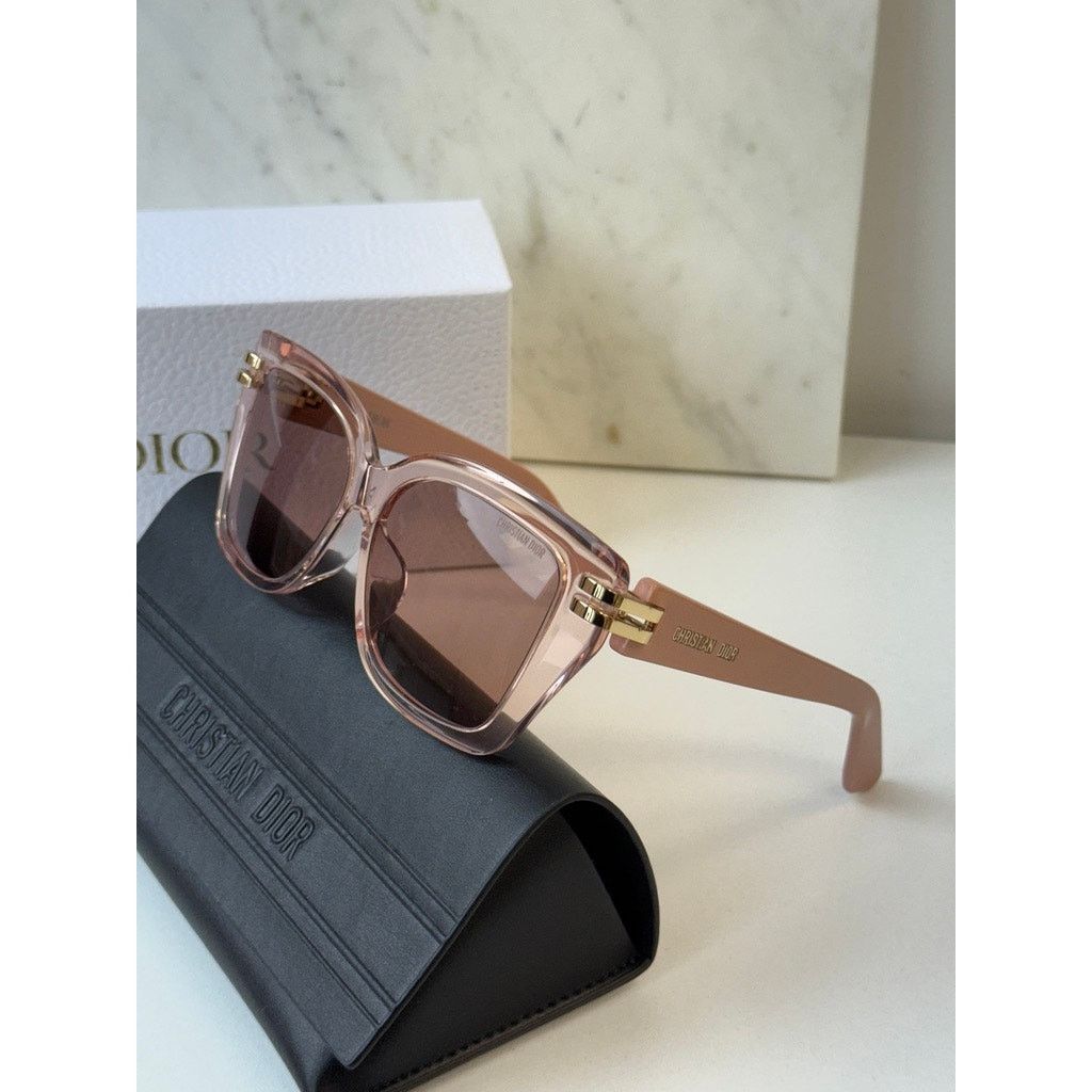 NEW Dior CDior S1F Butterfly Sunglasses in Transparent Pink display picture 1