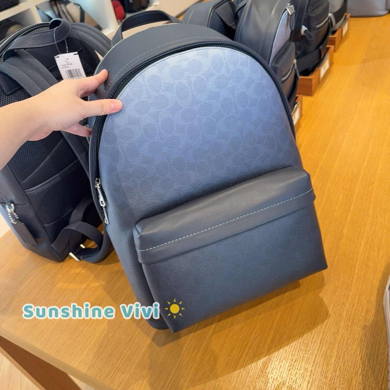 Coach NWT Coach Taylor Backpack Ombre Signature CDX84 Silver/Blue Size ONE SIZE - 2 Thumbnail