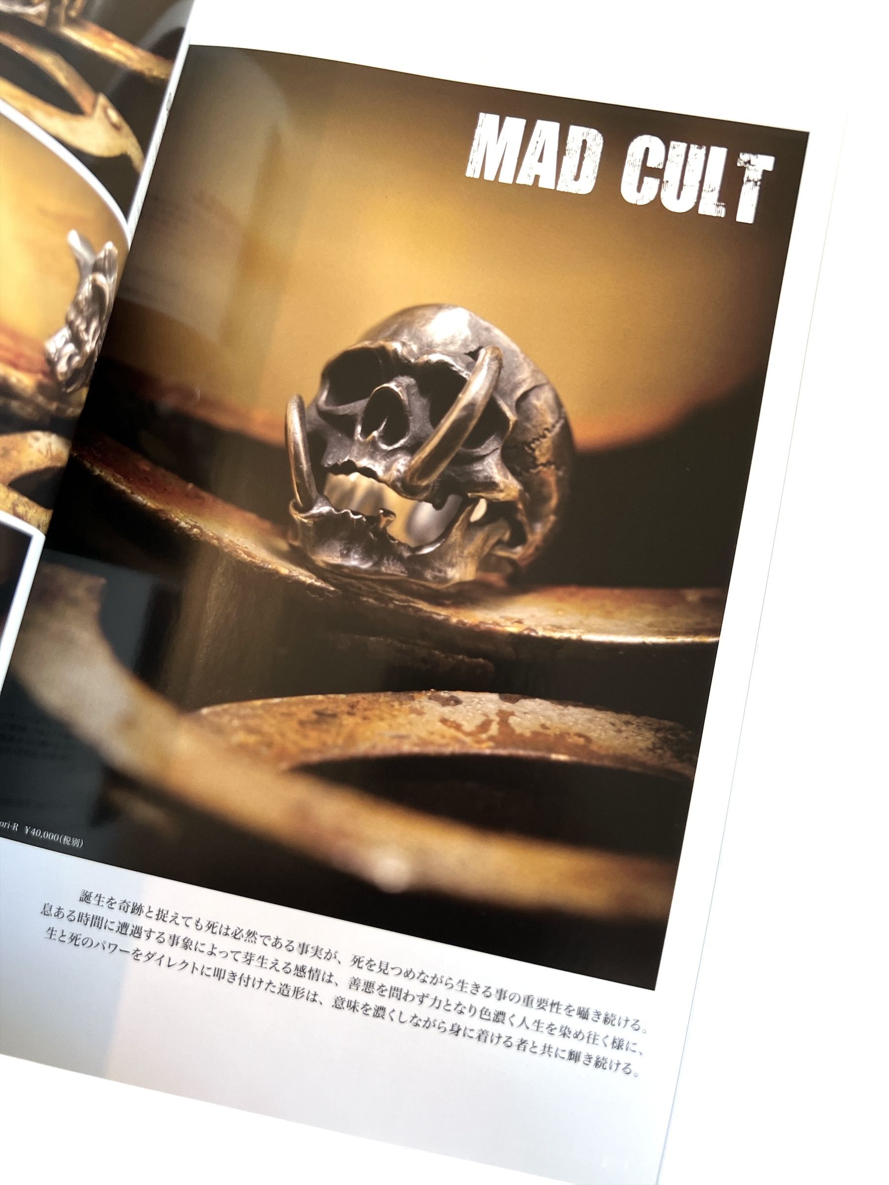 Chrome Hearts CHROME HEARTS Magazine 2016 Catalog Silver Girl Japan Size ONE SIZE - 11 Thumbnail