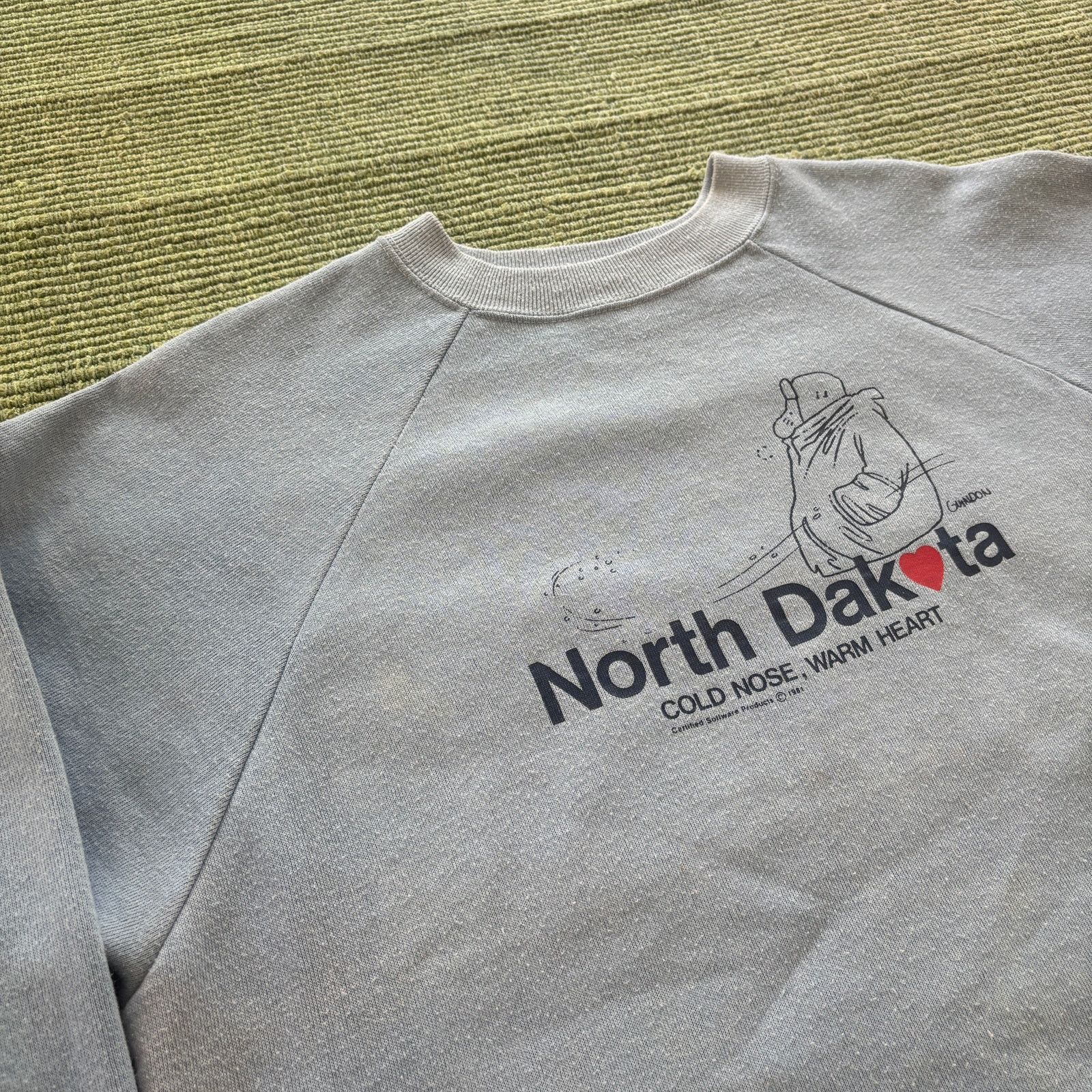 Vintage Vintage 1980s North Dakota Comic Strip Sweatshirt Sz L Size US L / EU 52-54 / 3 - 4 Thumbnail