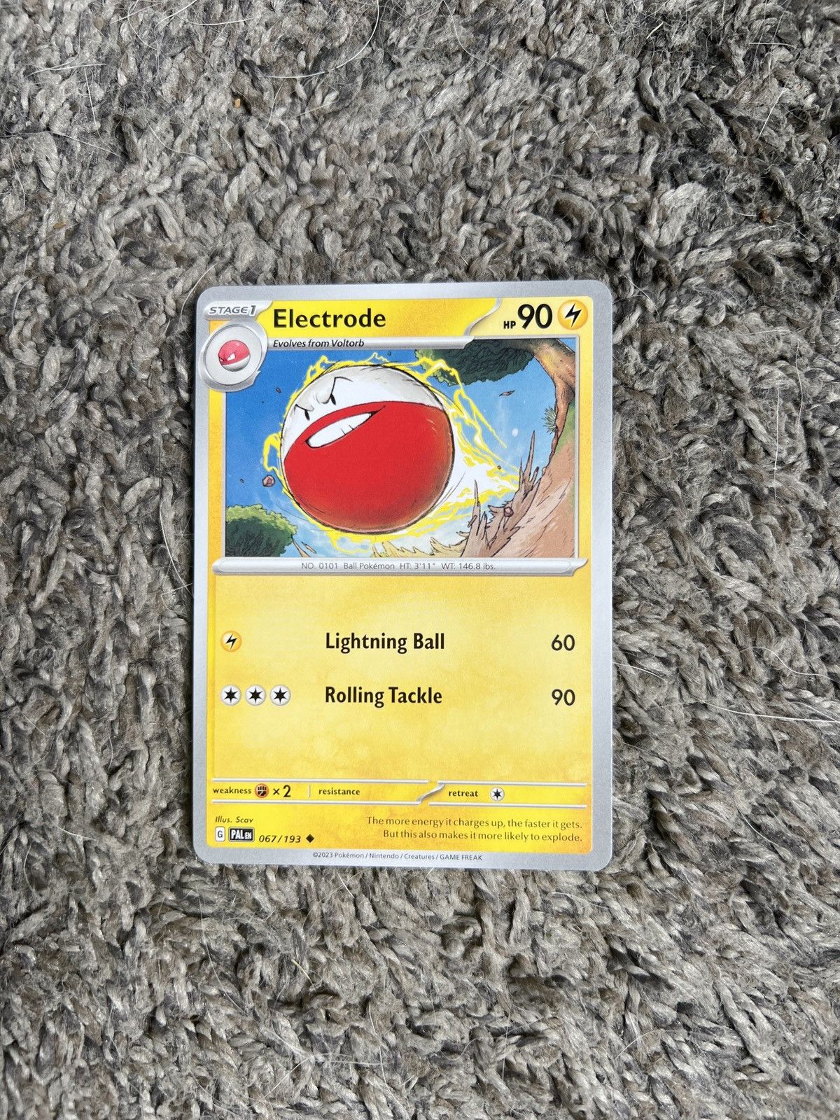 Pokemon 2023 Pokémon Electrode Stage 1 Card Size ONE SIZE - 1 Thumbnail
