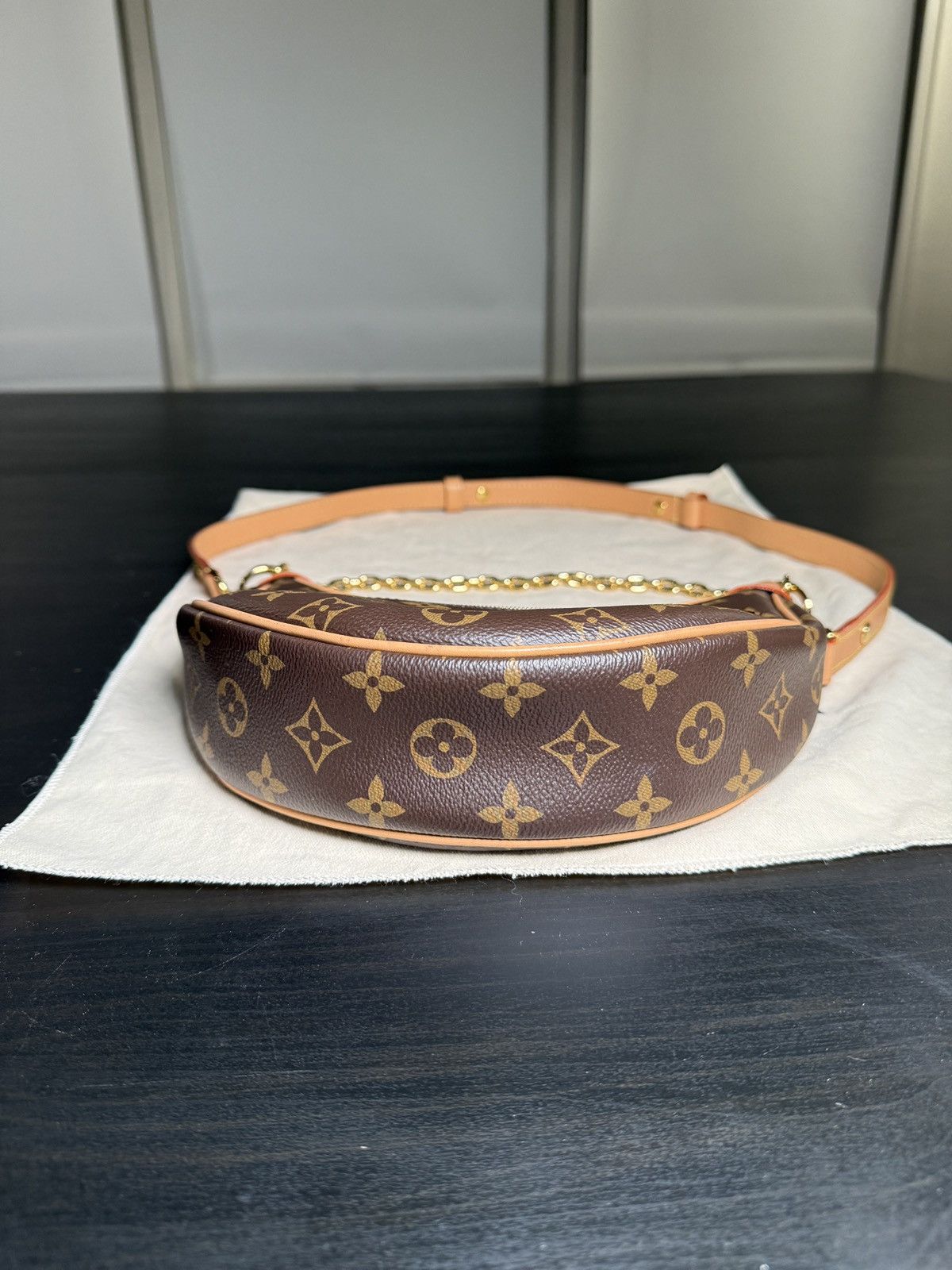 Louis Vuitton LOUIS VUITTON LOOP MONOGRAM BAG Size ONE SIZE - 4 Thumbnail