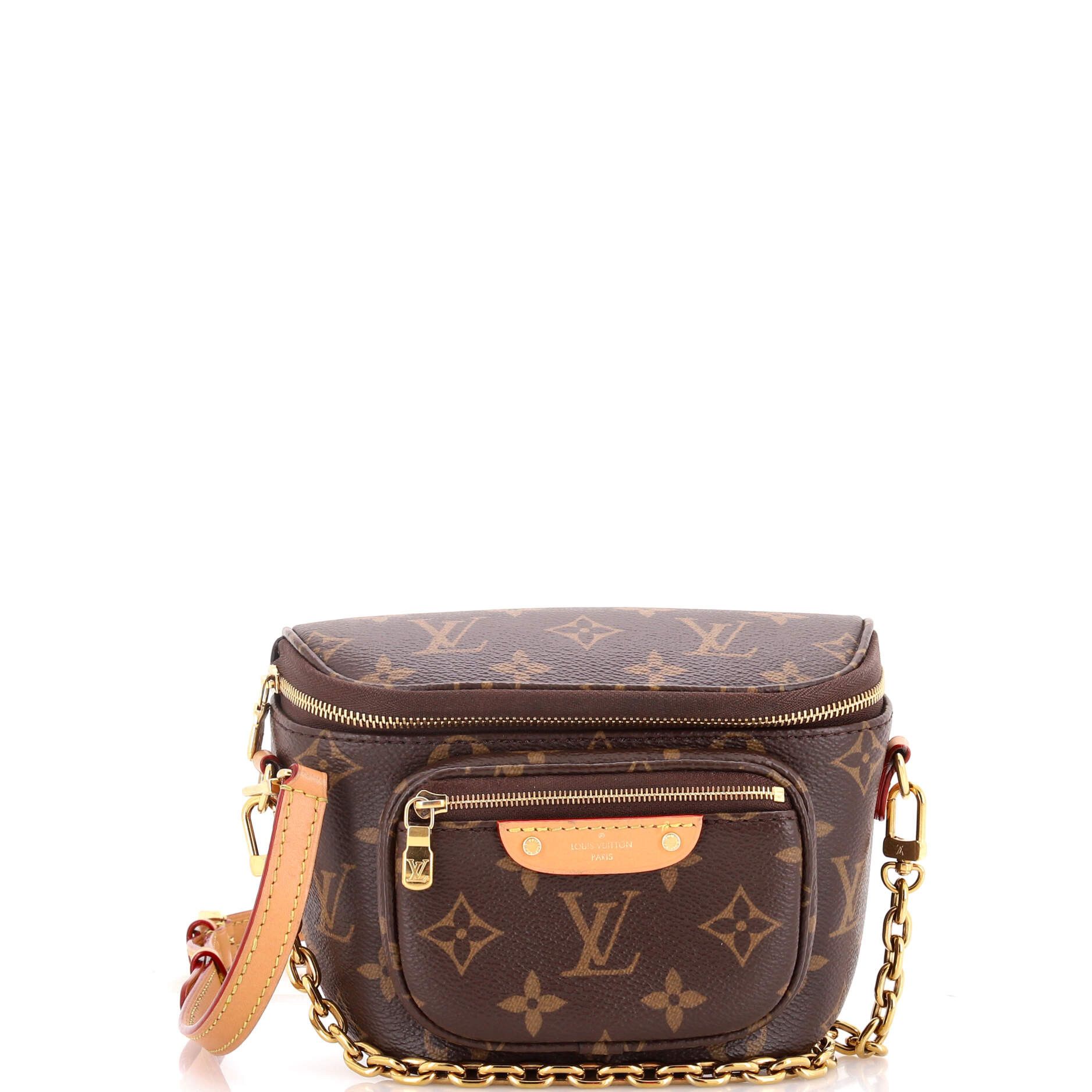 Louis Vuitton Bum Bag Size ONE SIZE - 1 Thumbnail