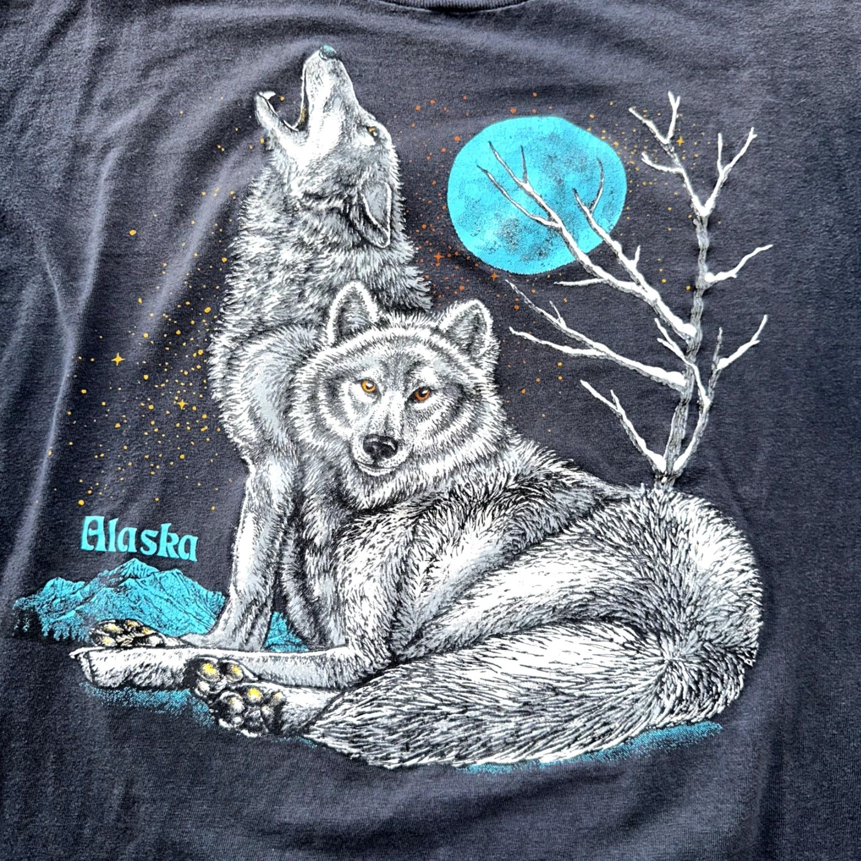Thrasher VINTAGE Faded Wolves Howling Black T-Shirt L Single Stitch 90s Thrashed Alaska Moon Mens Size US L / EU 52-54 / 3 - 3 Thumbnail