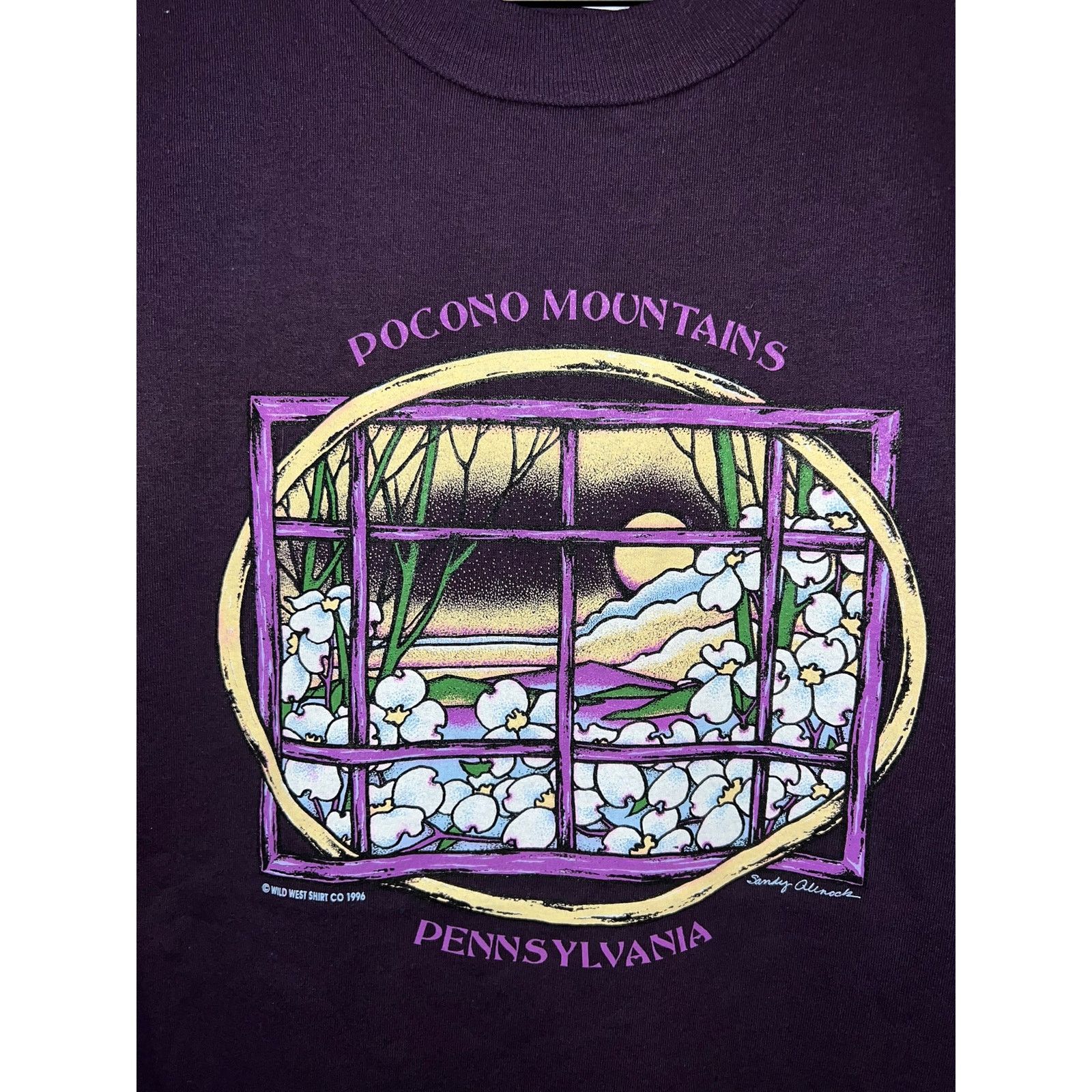 Jerzees Vintage Pocono Mountains Shirt Pennsylvania Tee VTG 90s L Size US L / EU 52-54 / 3 - 4 Thumbnail