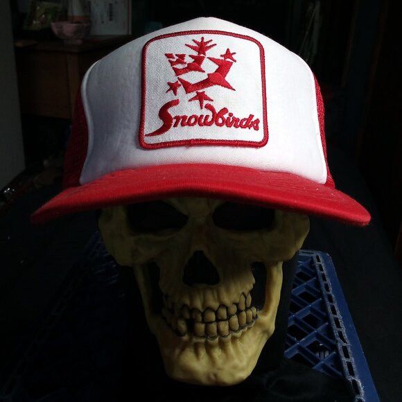 Other DS Vintage Snowbirds Canada Air Show Patch Trucker Hat Cap Size ONE SIZE - 1 Thumbnail