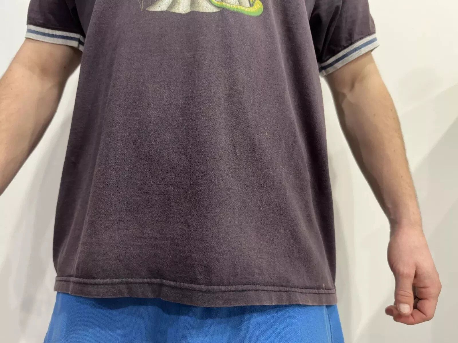 Vintage VINTAGE 2000s Y2K SHROOMS HEARTLAND SHIRT FADED SKATEBOARD Size US M / EU 48-50 / 2 - 6 Thumbnail