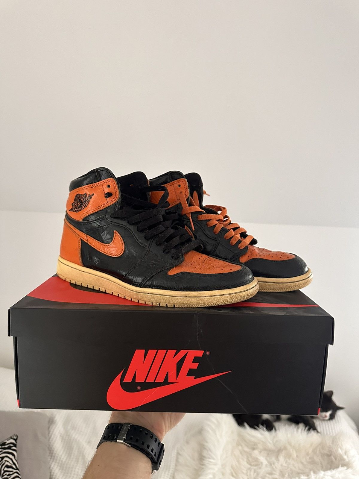 Jordan 1 Shattered Backboard