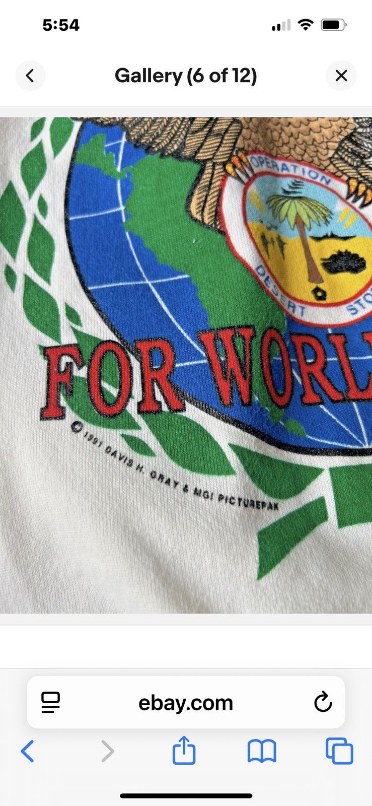 Hanes Operation Desert Storm Americans United Sweatshirt Size L Size US L / EU 52-54 / 3 - 6 Thumbnail