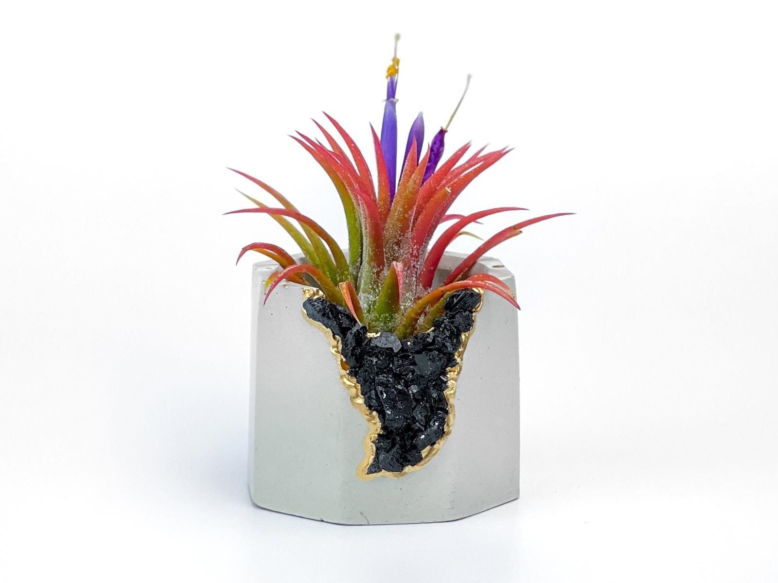 Other Black Tourmaline Geode Planter Handmade Succulent Pot yoga Size ONE SIZE - 1 Thumbnail