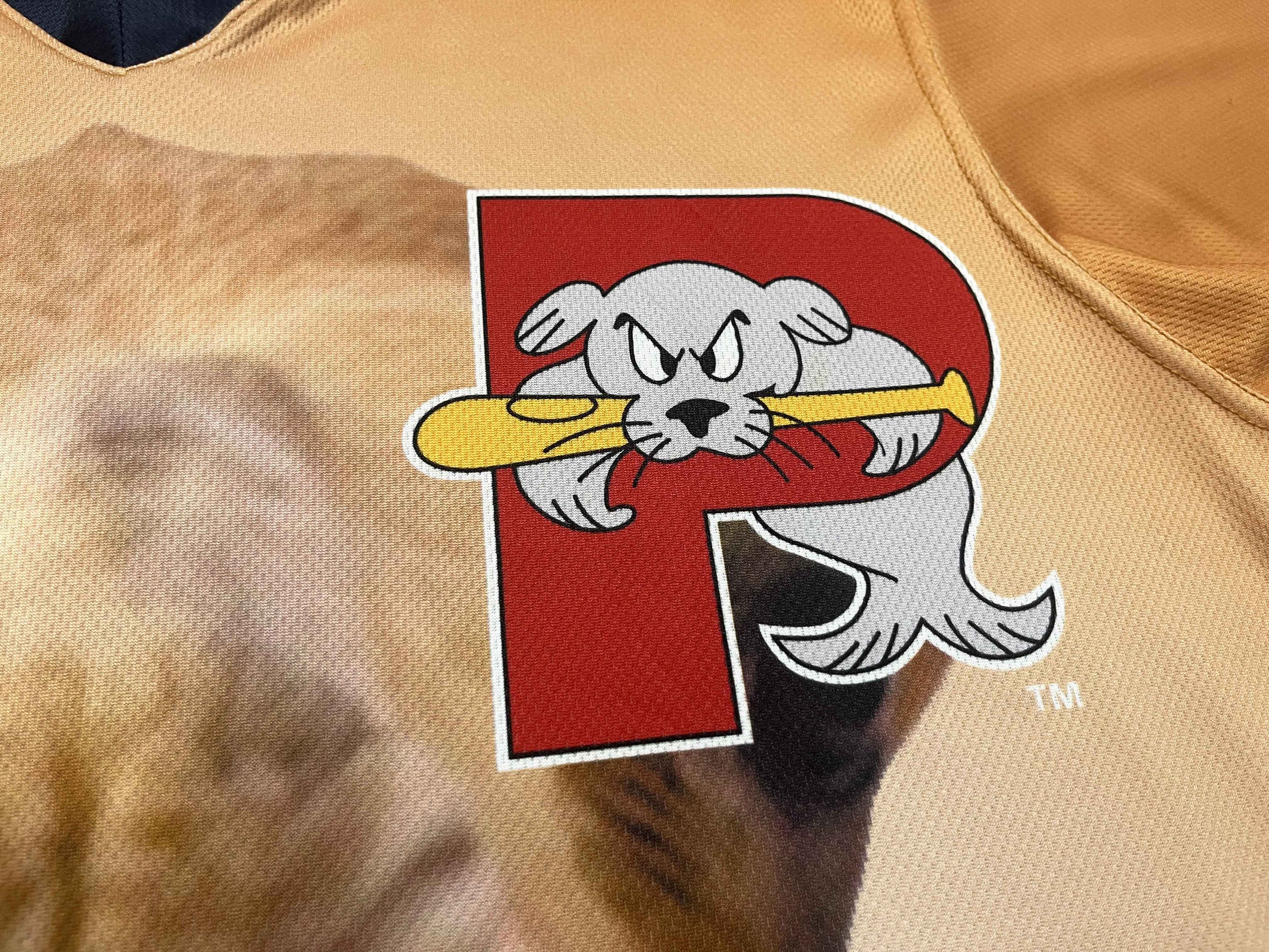 Vintage OT Sports MiLB Portland Sea Dogs #33 Camel Baseball Jersey Size US L / EU 52-54 / 3 - 2 Thumbnail
