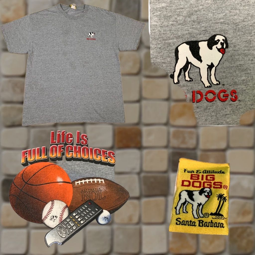 Big Dogs × Vintage Vintage Harry Potter T-shirt Hairy pawter Big
