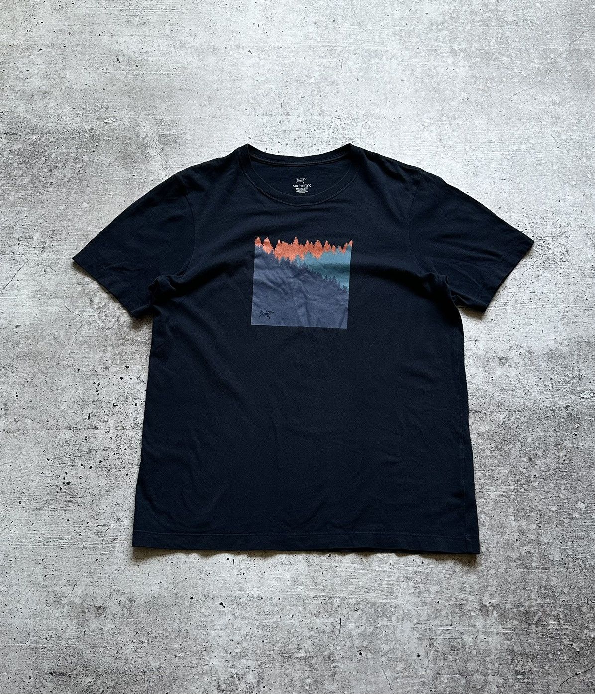 Arc'teryx Vintage Arcteryx Logo Gorpcore T Shirt Size US M / EU 48-50 / 2 - 1 Thumbnail