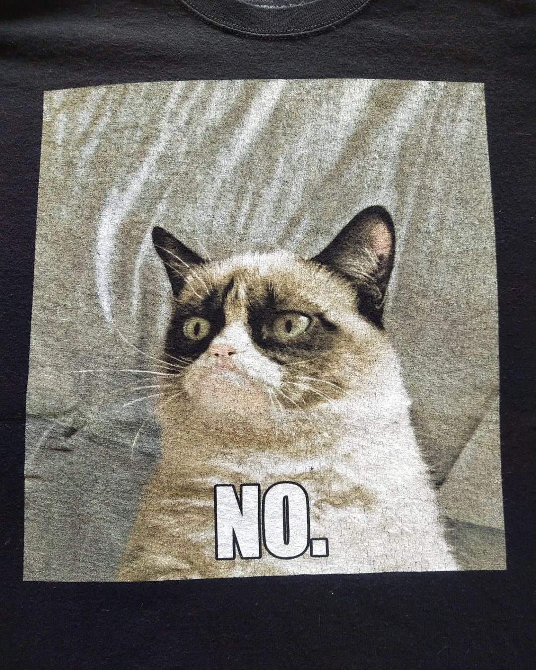 Ripple Junction Grumpy Cat Big Print No Meme Tees Size US L / EU 52-54 / 3 - 2 Thumbnail