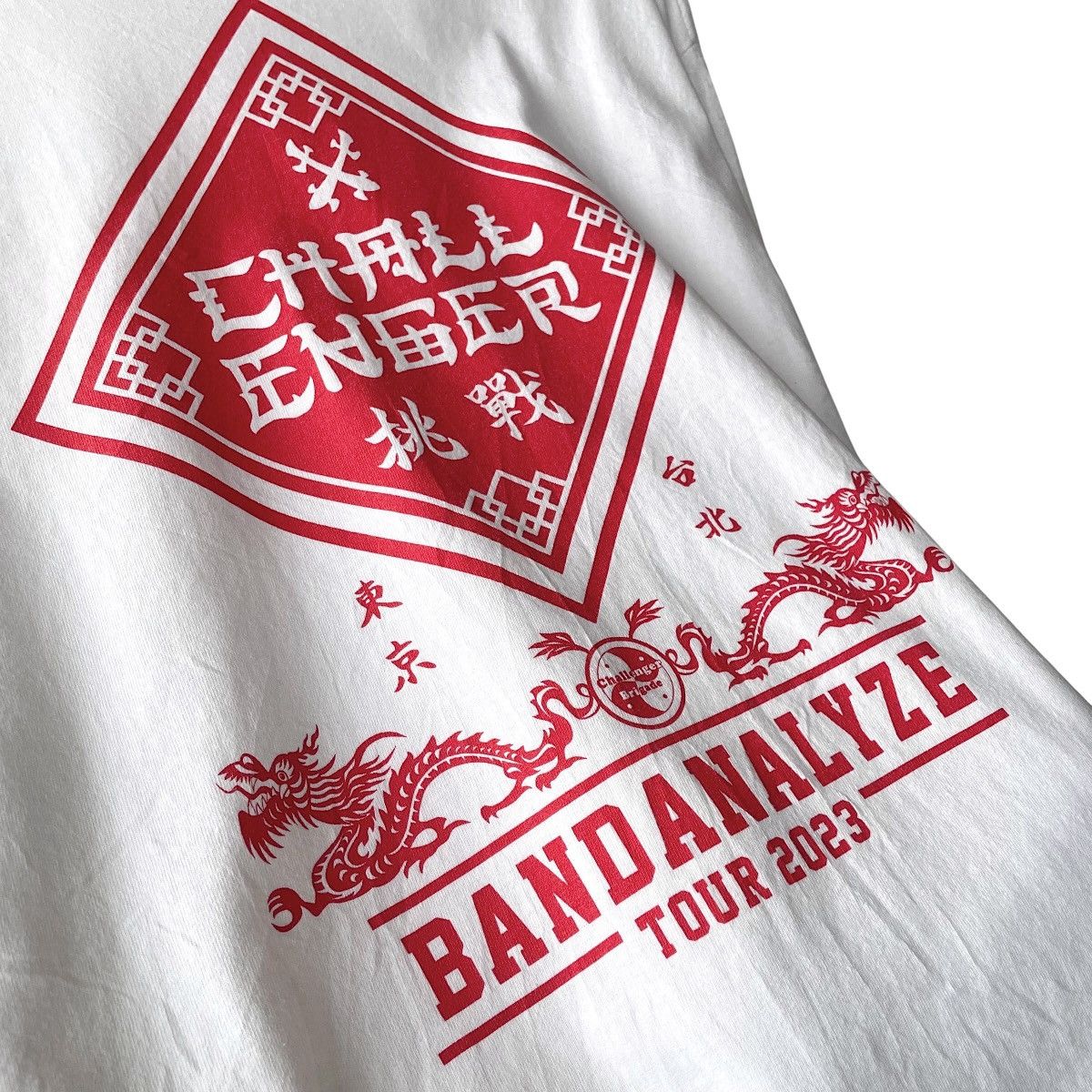 CHALLENGER Challenger Japan Satoru Taguchi BandanaLyze 2023 Tour Tee Size US XL / EU 56 / 4 - 6 Thumbnail