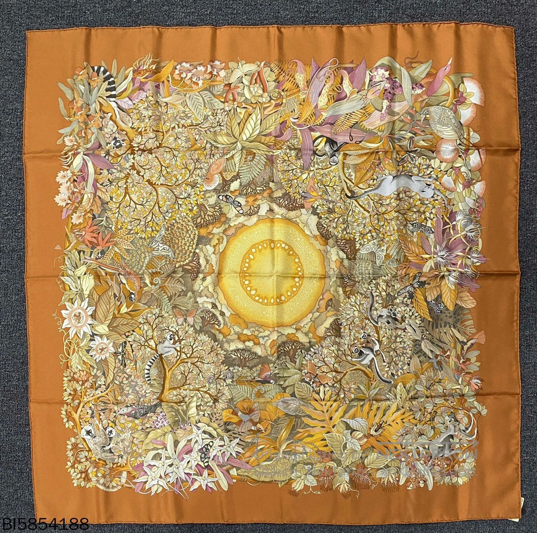 Hermes Hermes 'True Meaning of Life' Scarf. Size ONE SIZE - 1 Thumbnail