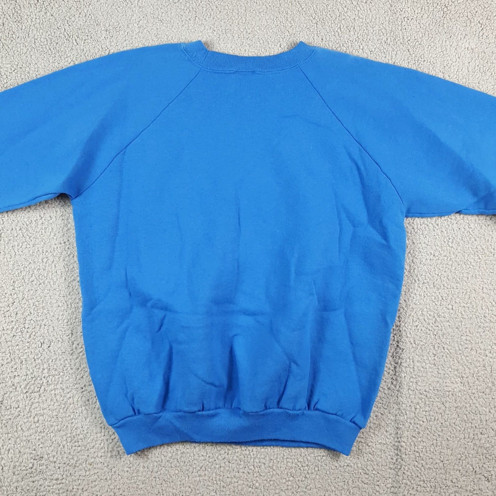 Hanes Vintage Hanes Virginia State Park Sweatshirt Pullover Crew Neck Men L Blue 90s Outdoor Nature University USA Raglan 00s Athletic Logo Size US L / EU 52-54 / 3 - 6 Thumbnail