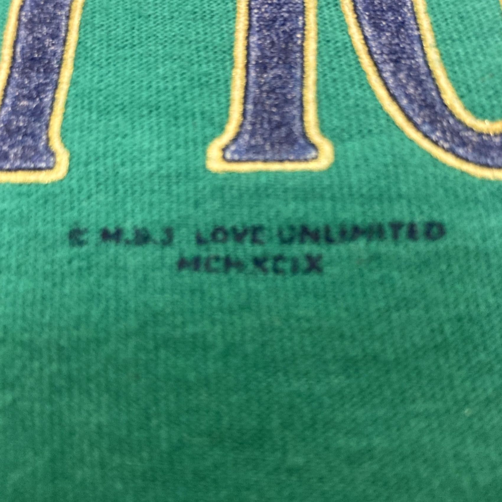 Vintage VINTAGE 1999 Pigeon Forge Tennessee Evolutions T-Shirt Large Green Men L Graphic Shirt Size US L / EU 52-54 / 3 - 3 Thumbnail