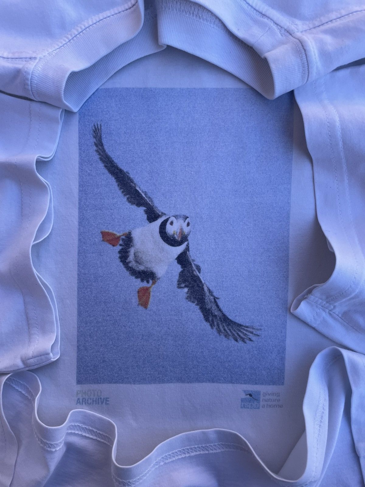 Other Fratercula Arctica in Flight, 2013-2014 Photo Archive RSPB Size US L / EU 52-54 / 3 - 1 Thumbnail