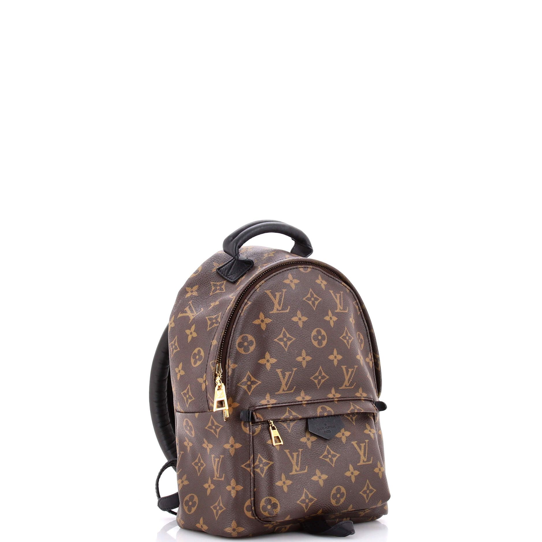 Louis Vuitton Palm Springs Backpack Monogram Canvas PM Size ONE SIZE - 1 Thumbnail