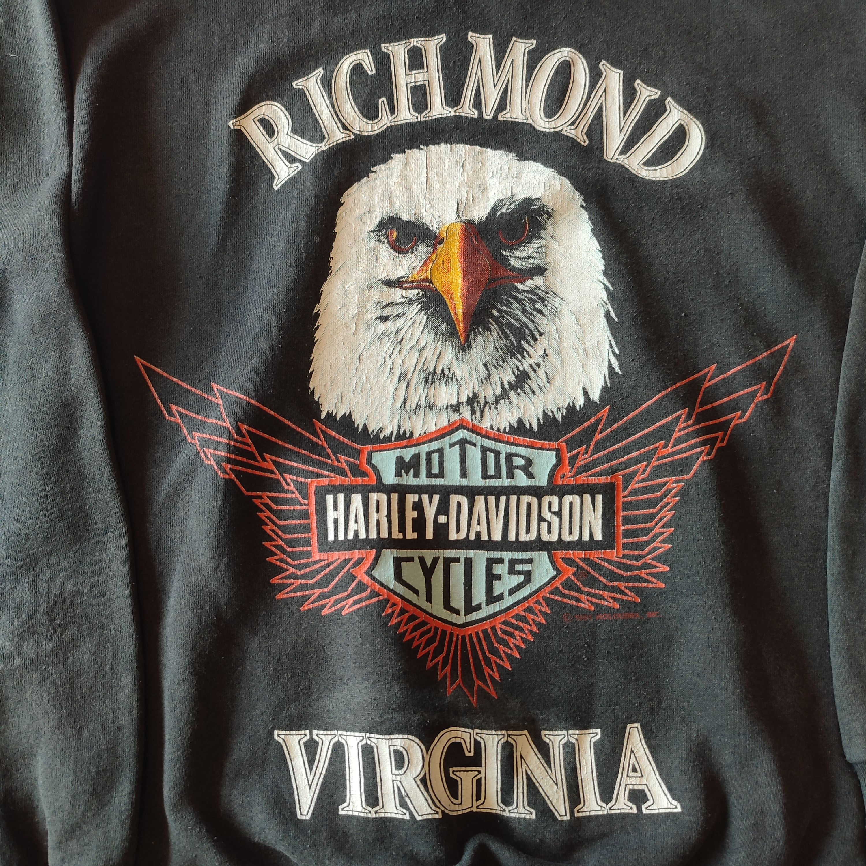 Harley Davidson × Vintage 🔥Rare🔥Vintage 1991 Harley Davidson Hoodie Size US M / EU 48-50 / 2 - 3 Thumbnail