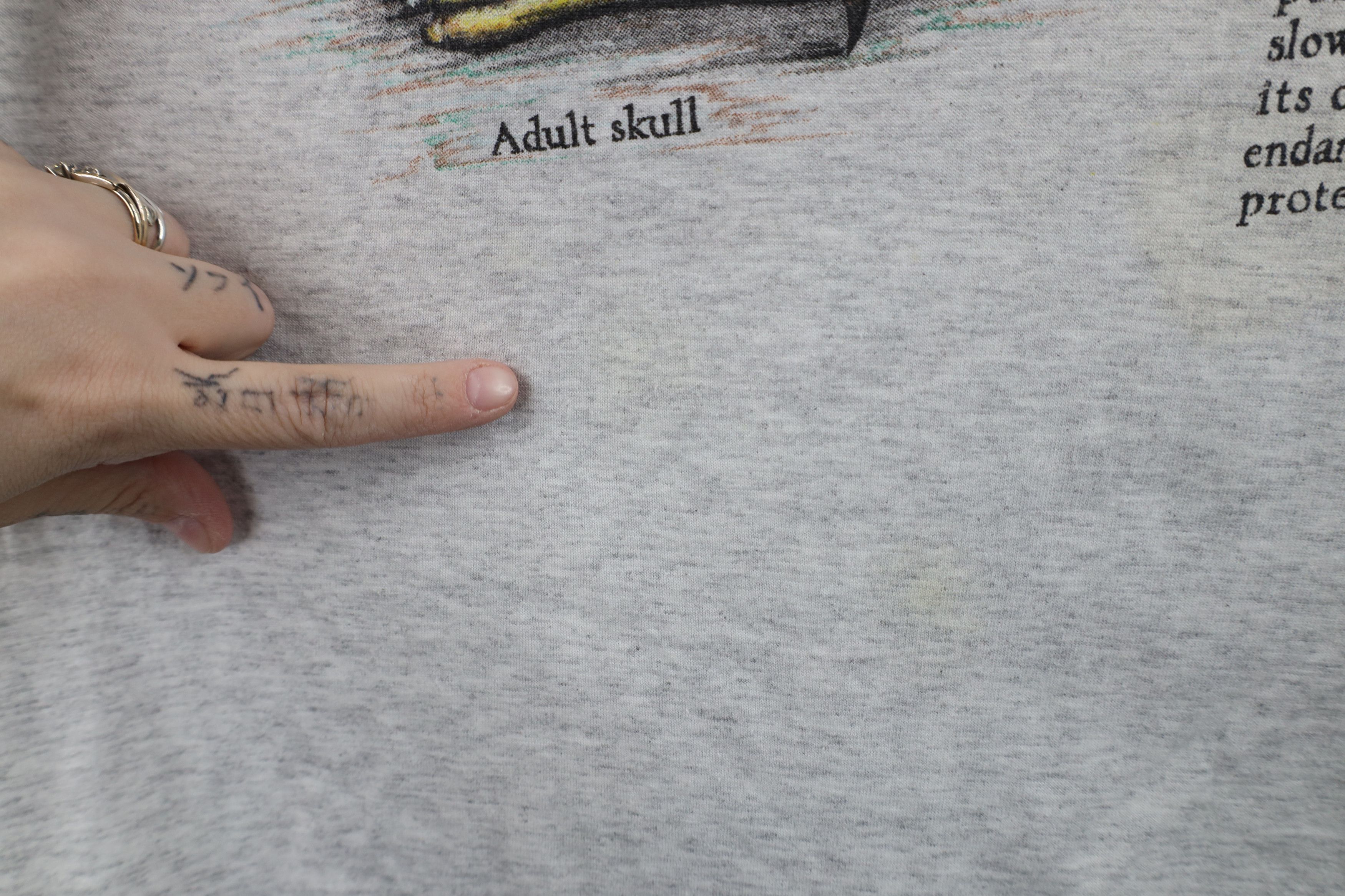 Vintage Vintage 90s Streetwear North American Bald Eagle T-Shirt USA Size US L / EU 52-54 / 3 - 9 Thumbnail