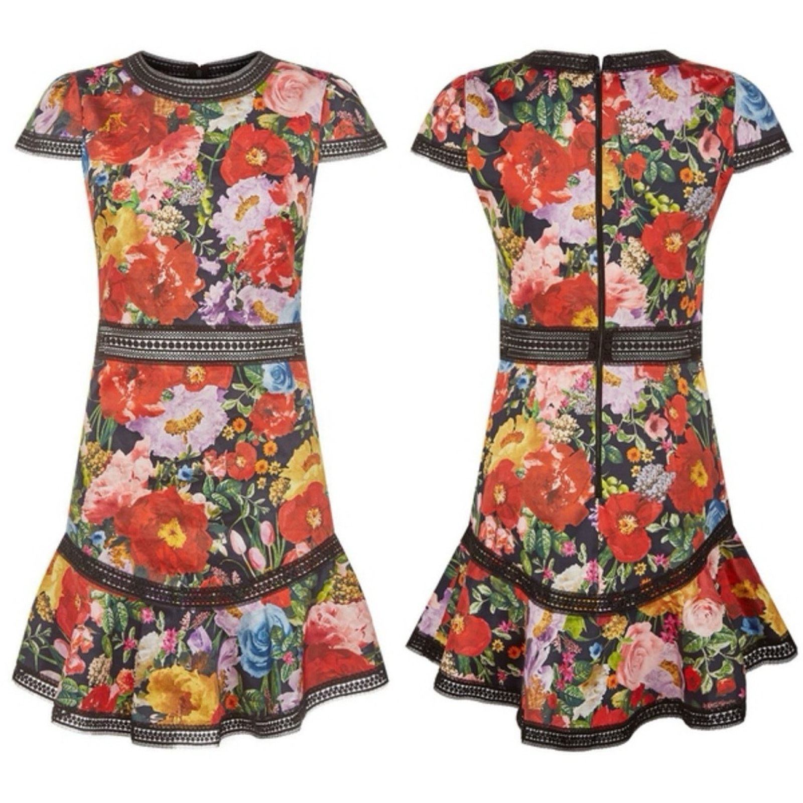 Alice + Olivia Alice + Olivia Rapunzel Flare Dress Blooming Garden Floral Size XS / US 0-2 / IT 36-38 - 2 Thumbnail