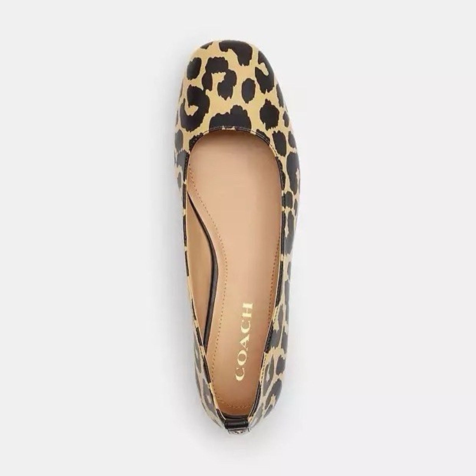 Coach NEW COACH Women's Wendie Ballet Leopard CW665 size 7 Size US 7 / IT 37 - 7 Thumbnail