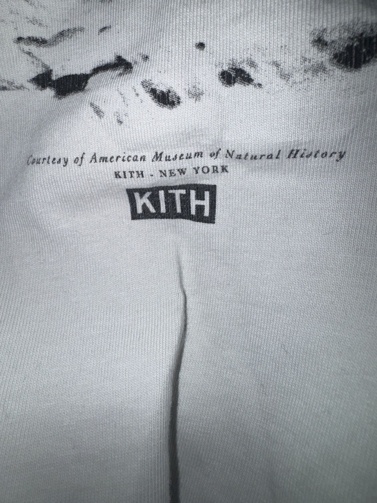 Kith Kith AMNH Wolves vintage tee Size US XXL / EU 58 / 5 - 5 Thumbnail