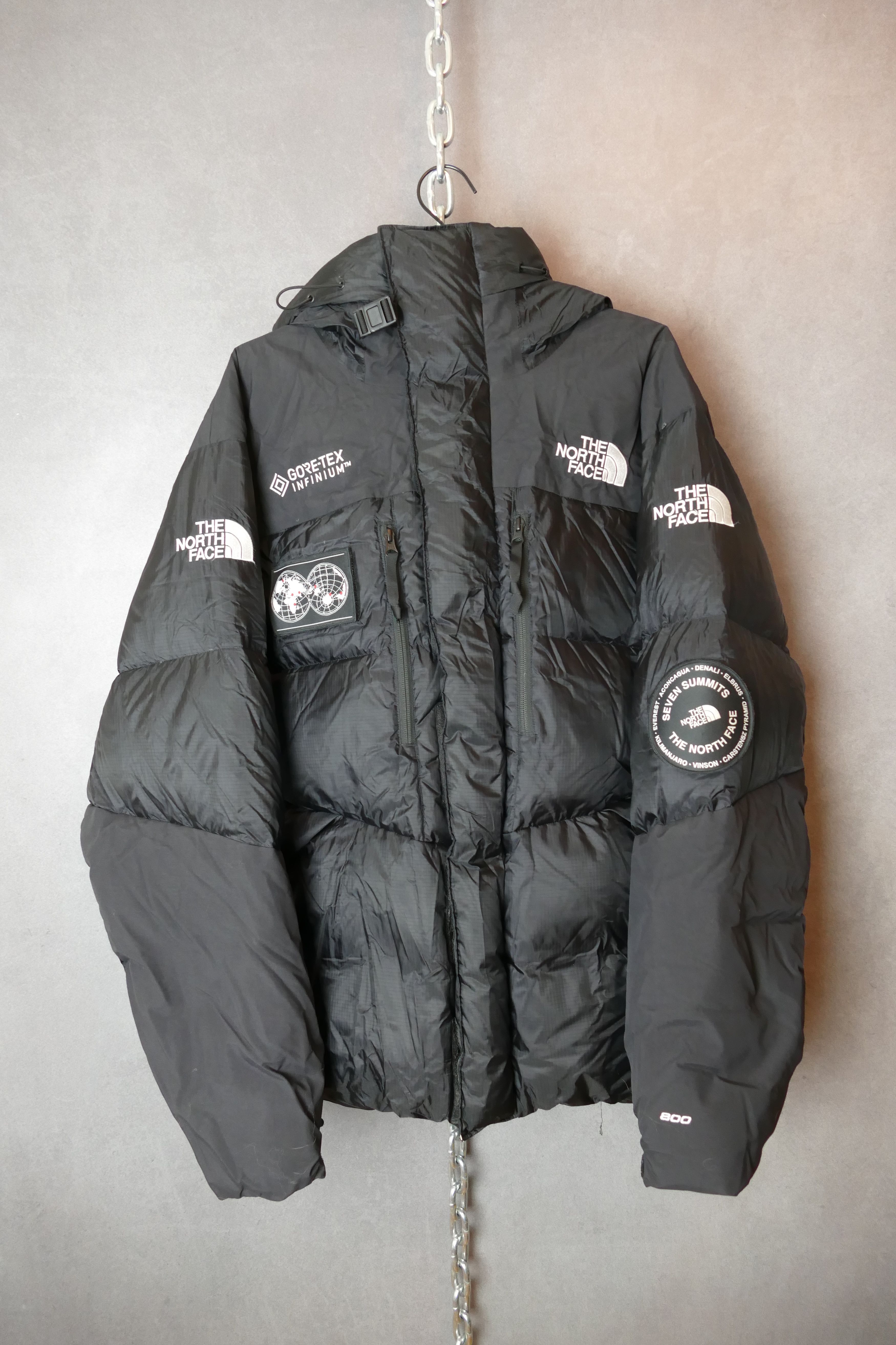 THE NORTH FACE GORE-TEX INFINIUM ダウン The North Face The North Face Gore-Tex Infinium Down Puffer Jacket