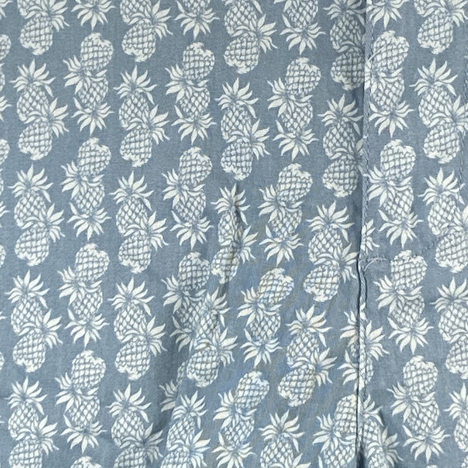 JACHS NY JACHS NY Bleecker Shorts Pineapple Print Blue Size 30 33x8 Size US 30 / EU 46 - 3 Thumbnail