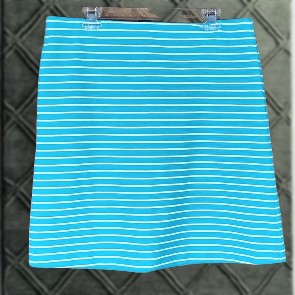 Talbots Talbots Skirt Womens Knee Length Teal White Striped Textured A-Line Size 10 Size 32" / US 10 / IT 46 - 1 Thumbnail