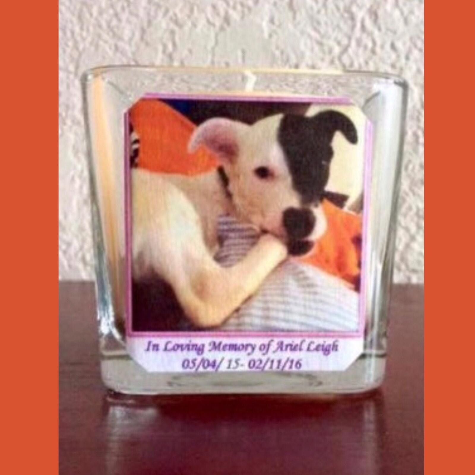 Genetic Manipulation Shinichiro Kuriya Square Glass Candle Holder with Ivory Pillar Candle Size ONE SIZE - 1 Thumbnail