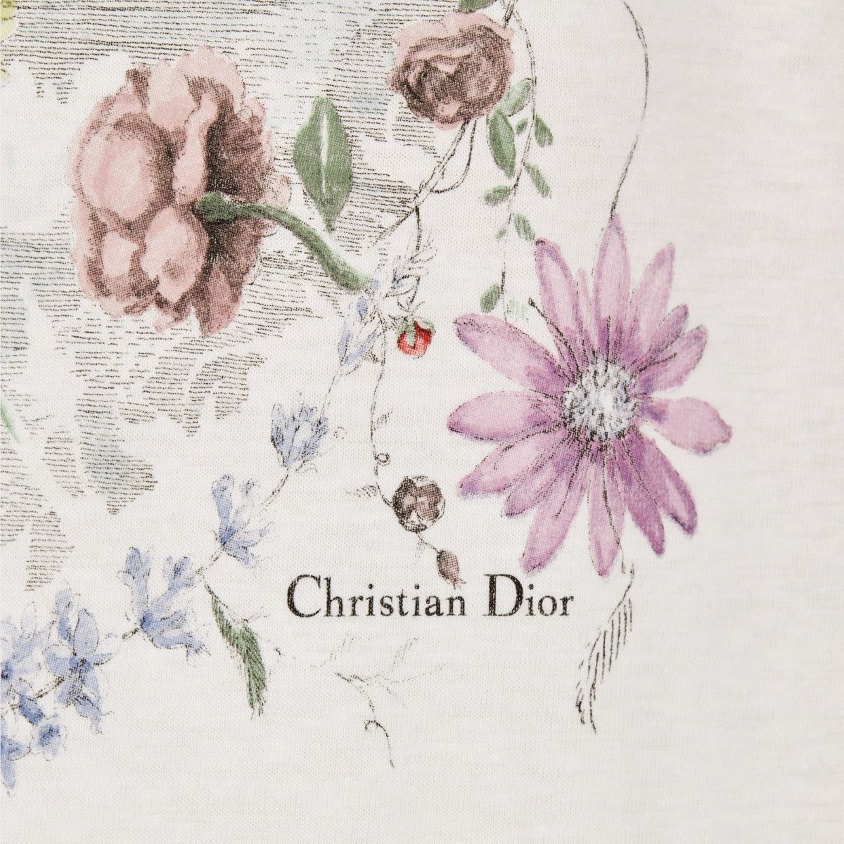 Dior o1bcso1str0225 T-Shirt in White Size M / US 6-8 / IT 42-44 - 3 Thumbnail