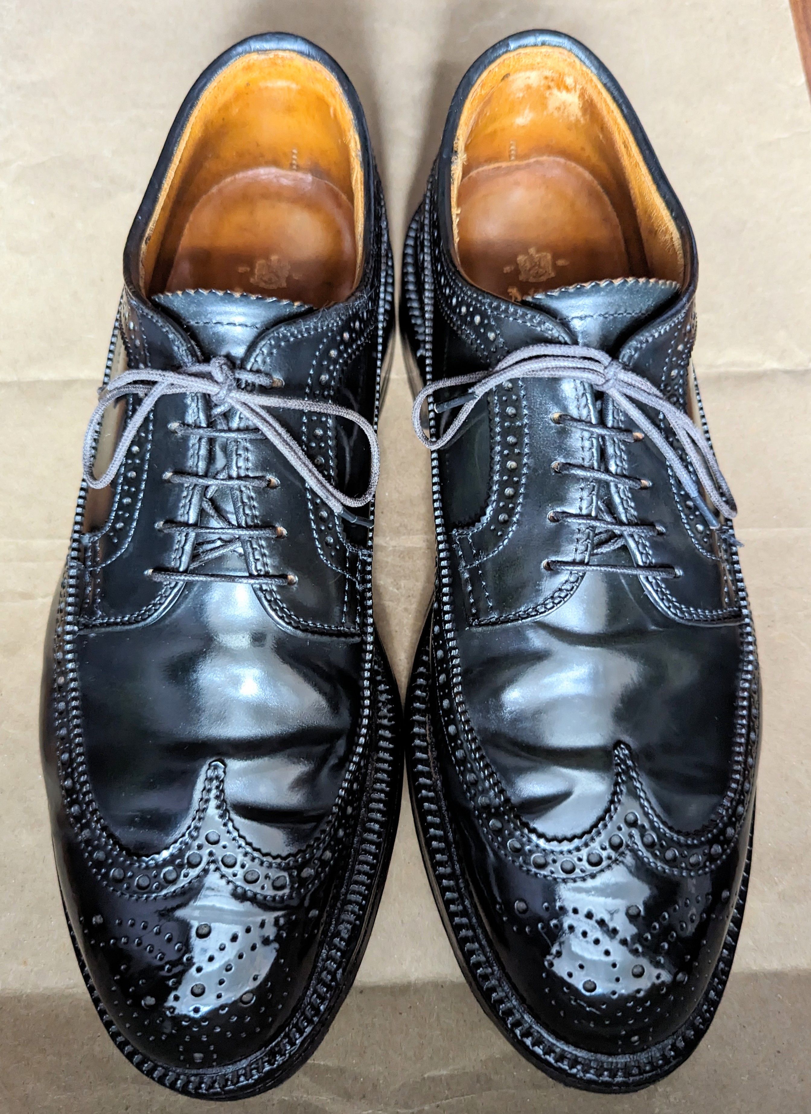 し*ー様 Alden461 ブラック 9.5 Alden Men's 9751 - Long Wing Blucher - Black Shell Cordovan