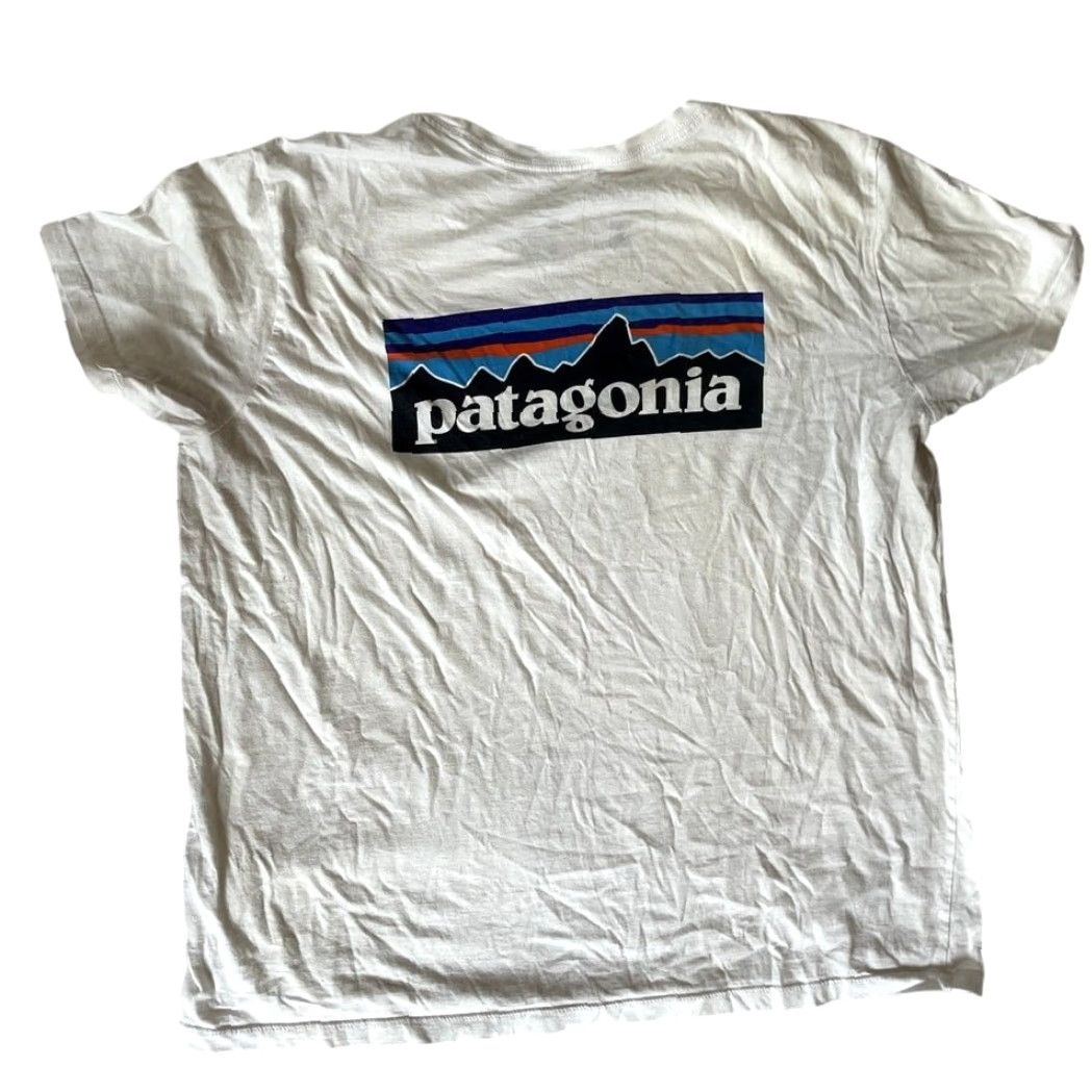Patagonia Patagonia Organic Cotton Tee Mens Back Logo Short Sleeve Size L Size US 31 - 2 Thumbnail