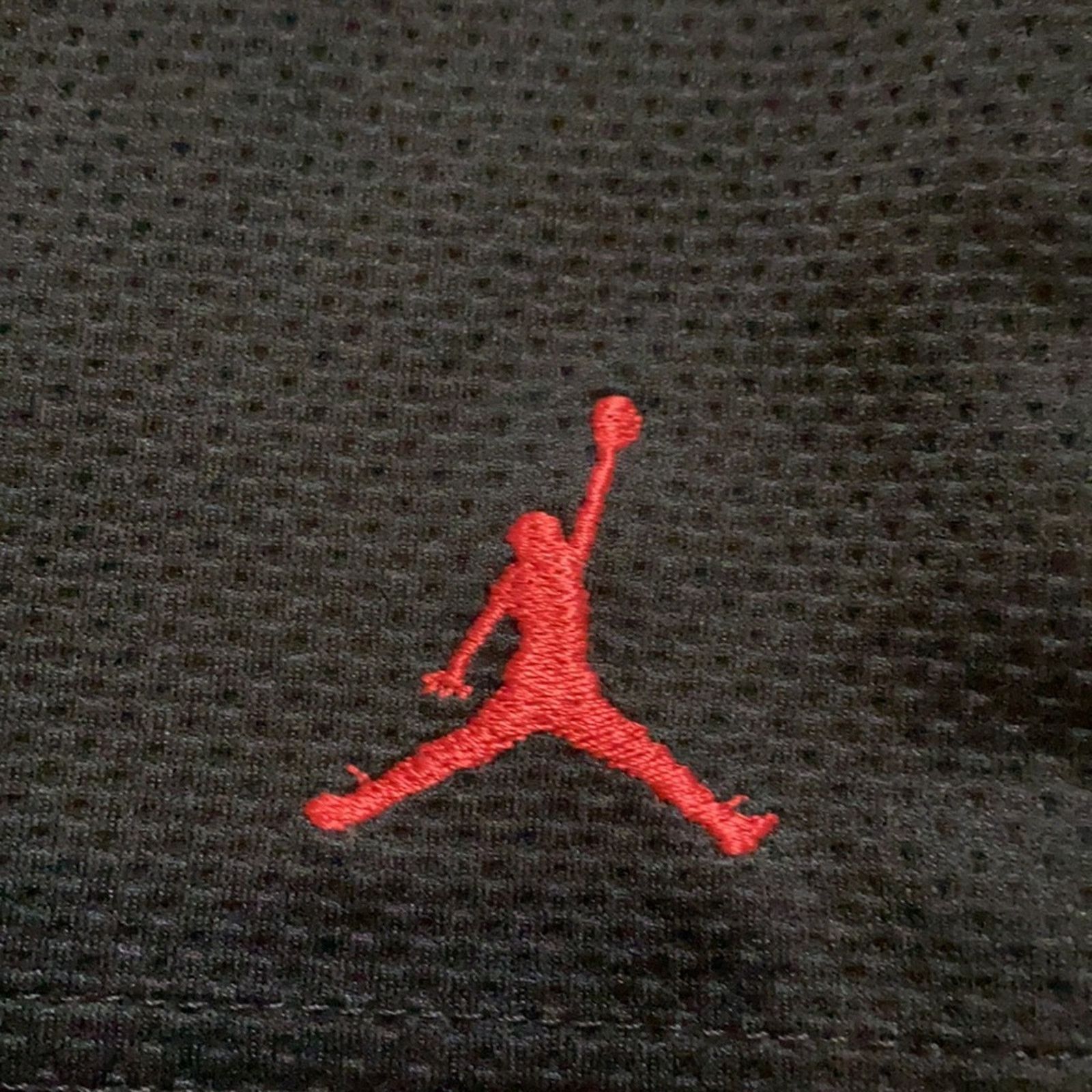 Jordan Brand Y2K Jordan Shorts Size US 31 - 2 Thumbnail