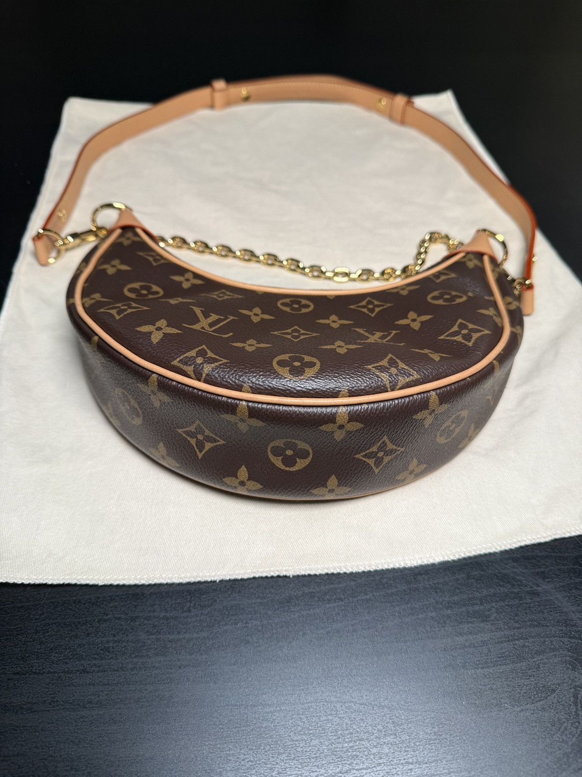 Louis Vuitton LOUIS VUITTON LOOP MONOGRAM BAG Size ONE SIZE - 6 Thumbnail