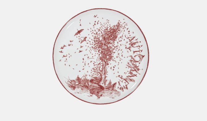 o1bcso1str0324 4 Set Dinner Plates in Multicolor