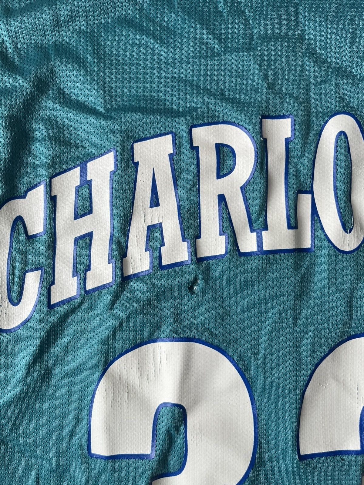Champion × Vintage Vintage Alonzo Mourning jersey Charlotte Hornet Size US L / EU 52-54 / 3 - 4 Thumbnail