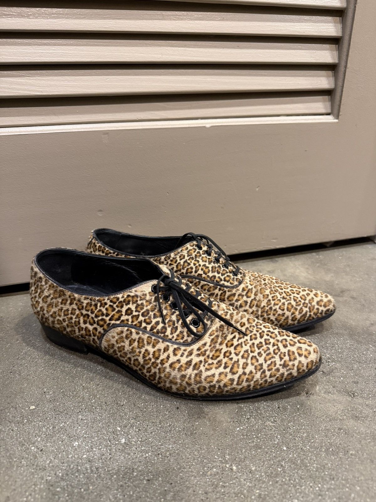 Ponyhair Cheetah Jacno 30 Derby’s 39